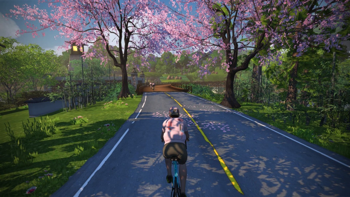 ゲームPCでのマクリ島の桜を紹介する画像